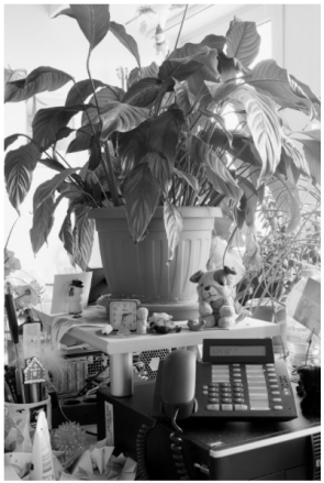 Screen Shot 2017-05-08 at 2.02.51 pm