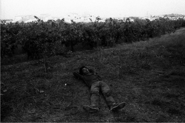 Screen Shot 2017-05-09 at 6.50.24 pm