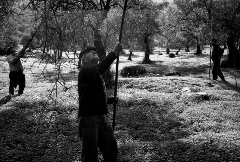 Screen Shot 2017-05-09 at 6.51.05 pm