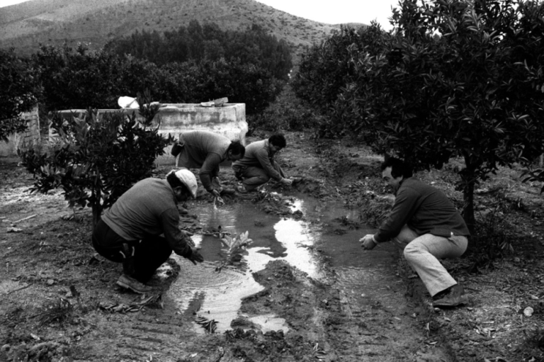 Screen Shot 2017-05-09 at 6.51.16 pm