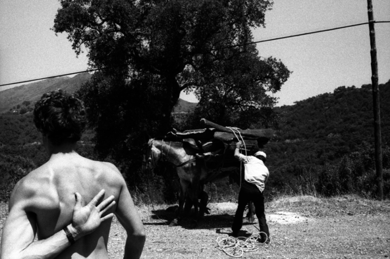 Screen Shot 2017-05-09 at 6.54.07 pm