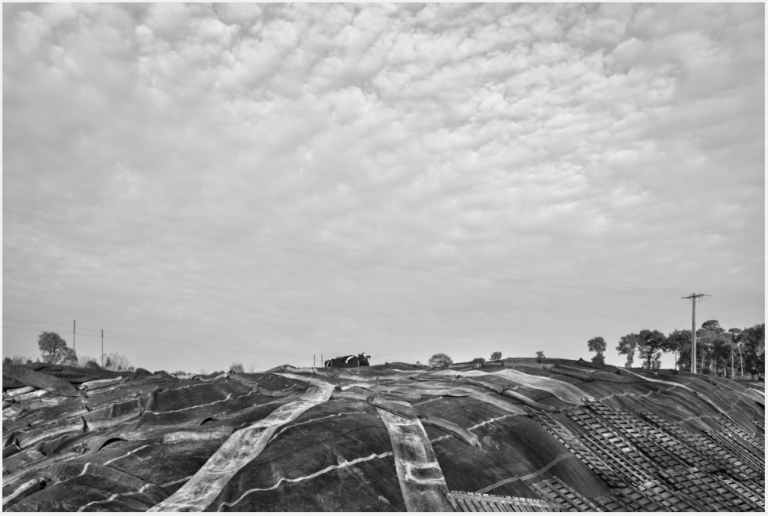 Screen Shot 2017-05-16 at 10.46.29 pm