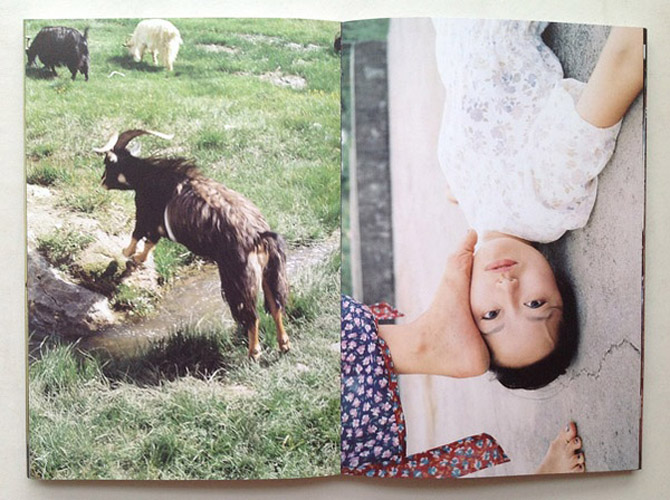 Published by Revolution-Star (Taiwan) Edited&Designed by Aaron Nieh 1st edition of 3500 copies 2nd edition of 1500 copies Book size- 185 X 270mm 240 pages, Hardcover Red or blue plastic