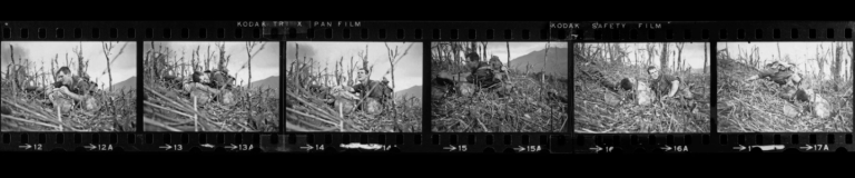 Screen Shot 2017-08-27 at 4.19.30 pm