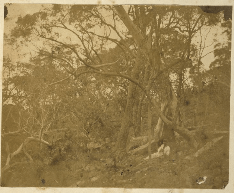 Screen Shot 2017-10-18 at 10.44.42 pm