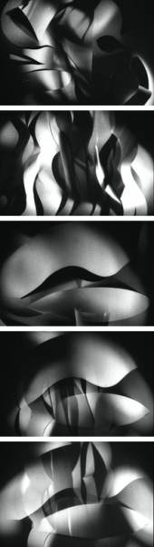 Screen Shot 2017-10-15 at 8.15.25 pm