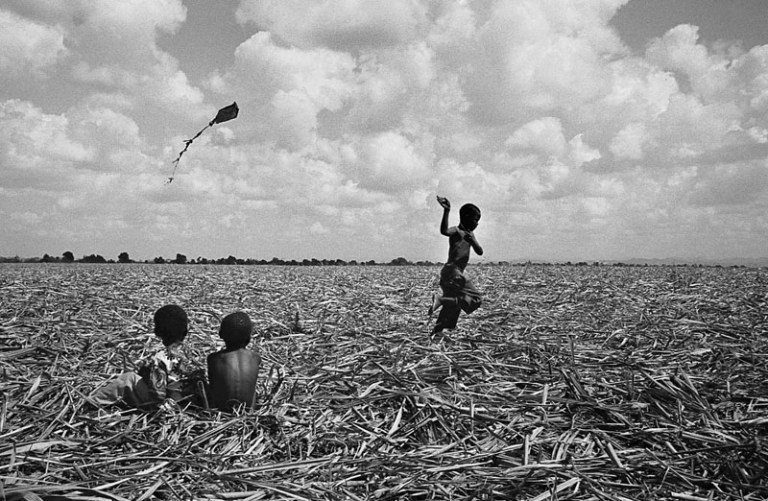 Higueral. R. Dominicana. 1994