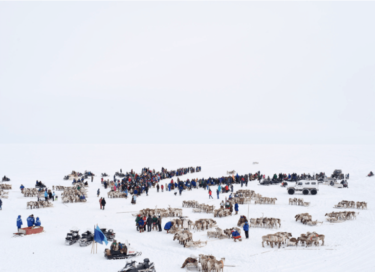 Screen Shot 2017-11-06 at 9.13.08 pm