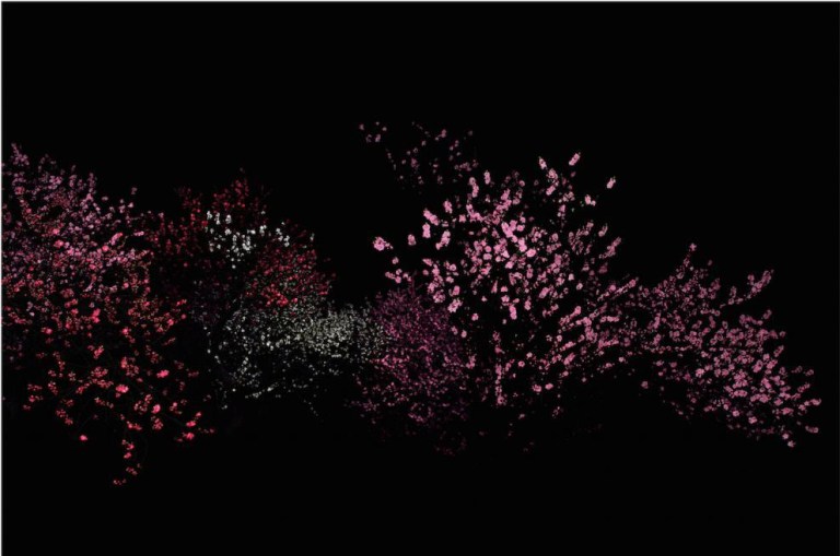 Symbiose II_110x160cm_pigmentprint_2013