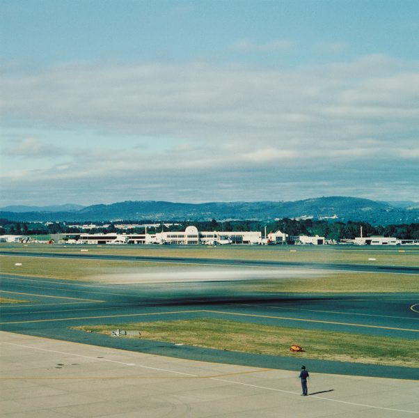 greenwork TL #3, from the series greenwork 1995