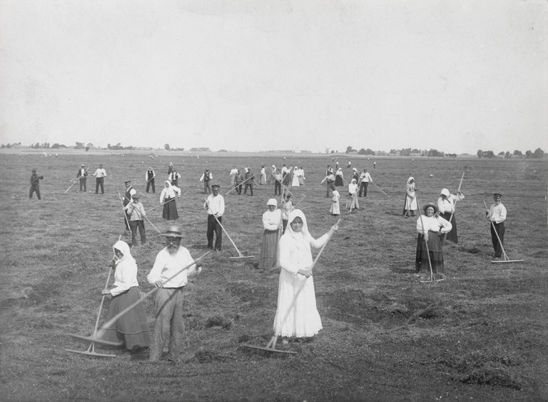 Hay Bee Pöide surroundings.