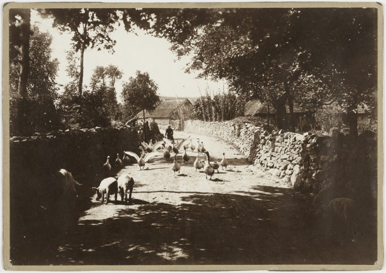 Jursi village street