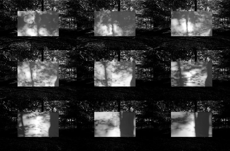 movingshadows0272dpi50x33cm