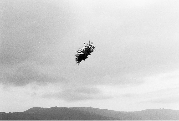 Screen Shot 2017-12-10 at 11.00.07 am