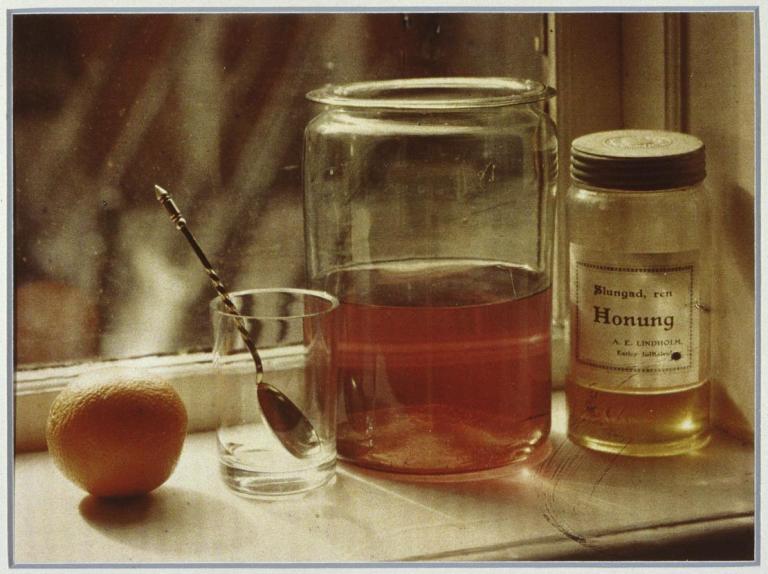 Wladimir Schohin- Still Life on the windowsill, 1907. The Finnish Museum of Photography : AFK's collection.