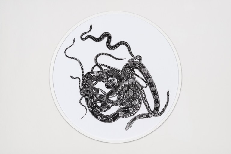 Schlangenmosaik V, 2012, Fotografie auf Barytpapier, Ø   131,5