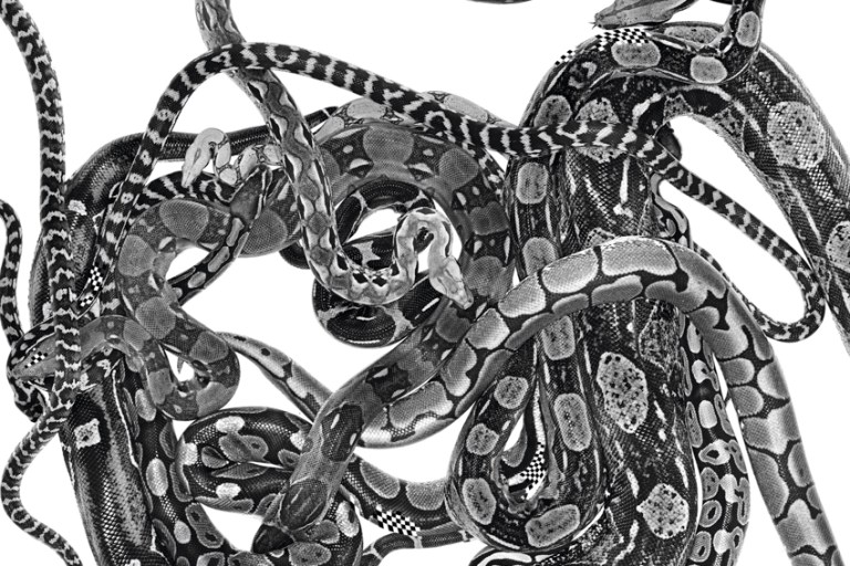 Schlangenmosaik V, Detail