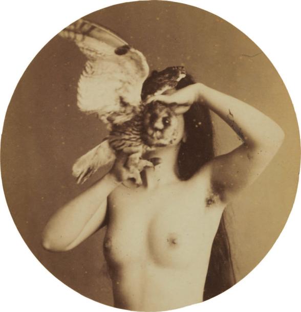 7500 € Anonymous Nu zoomorphic, circa 1870 Albumen print from glass negative collodion tondo 99 x 99 mm, 165 x 108 mm substrate.