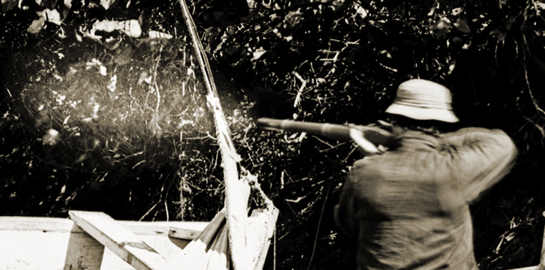 Screen Shot 2018-01-31 at 9.57.44 pm