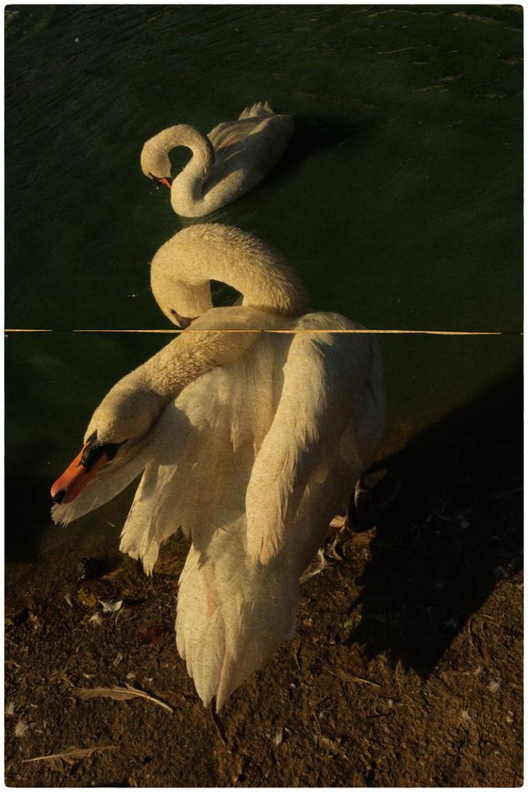 #4023 Work- Kαιρός (Kairos) Description- Pigments, gampi paper and gold leaf.