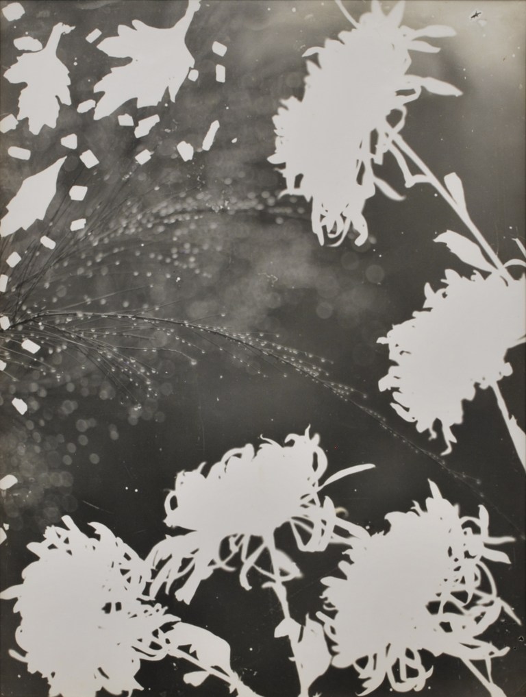 Cotton_Olive_Untitled_c1935