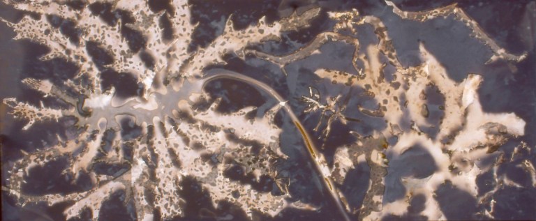 Maddison_Ruth_Girt_by_sea_4_2003