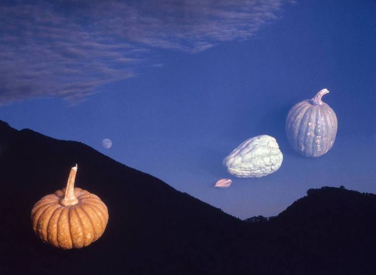 moonscape with still life