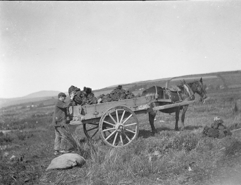 My wallet of photographs ; the collected photographs of J.M. Syn