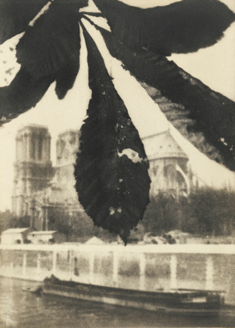 Pierre Dubreuil Notre Dame de Paris 1908 Oil print 9 1:2 x 6 7:8 ins (24.1 x 17.5 cm)