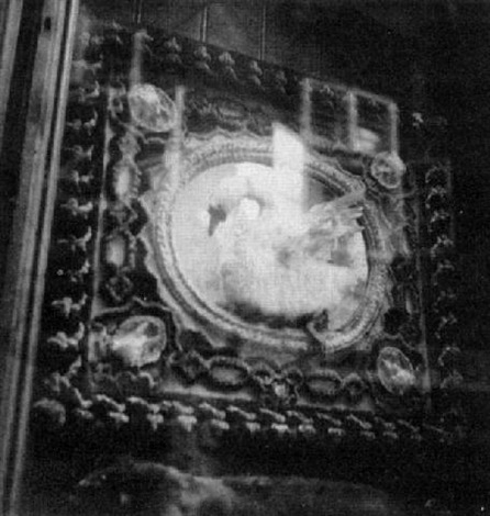 Swan , 1930–1939 Gelatin Silver Print 8.9 x 8.3 cm