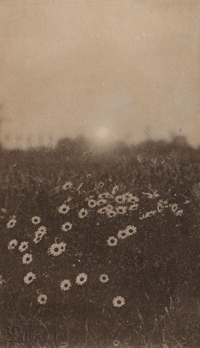 The golden hour Pierre Dubreuil 16.80x9.70 cm Platinum 1897 Museum of Arts and Crafts in Hamburg