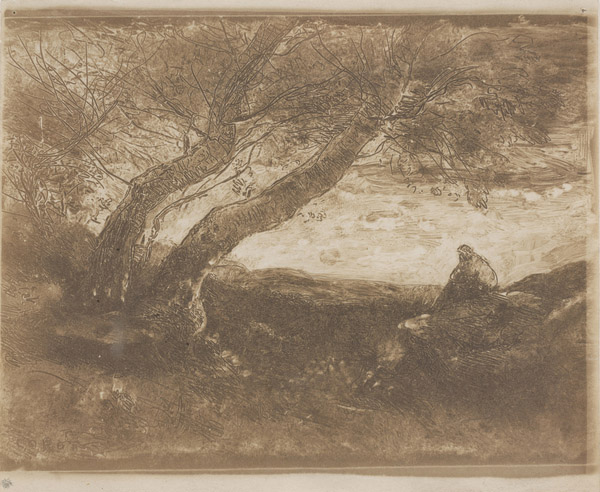 The Dreamer (Le Songeur), 1854 (cliché-verre)