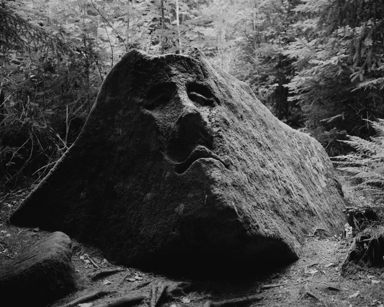 Dog Cemetery (2015) by Tereza Zelenkova