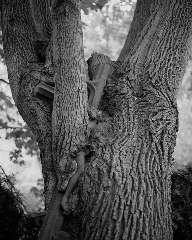 Jesus (2015) by Tereza Zelenkova