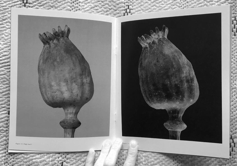 Screen Shot 2018-04-11 at 9.50.19 am