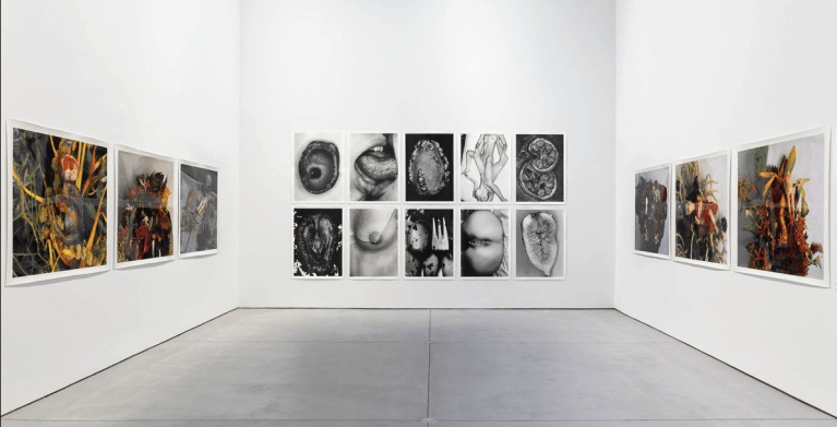 Screen Shot 2018-08-27 at 9.04.13 pm