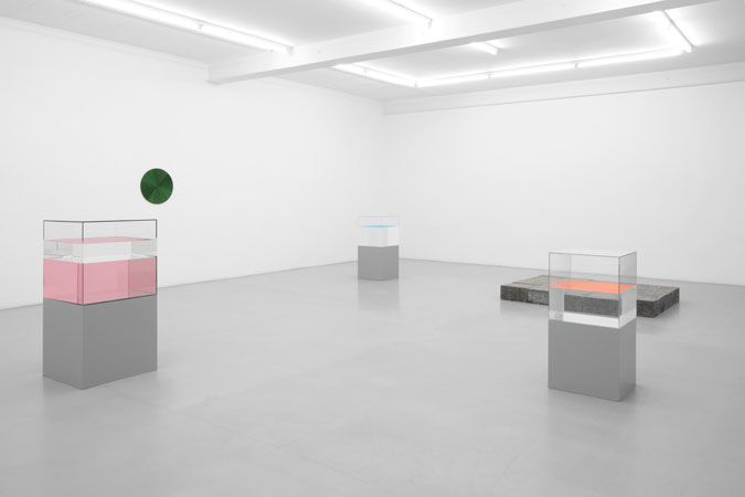 Galerie_Micheline_Szwajcer_Ann_Veronica_Janssens_2010_05