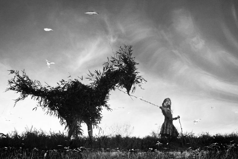 e162d69d-726d-4cb7-b362-f74c5648b2c8