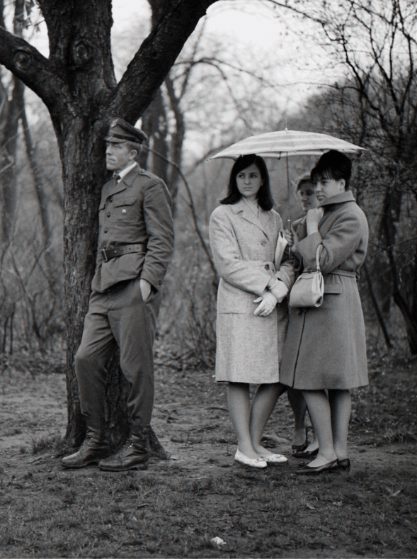 Screen Shot 2018-12-08 at 9.38.44 pm