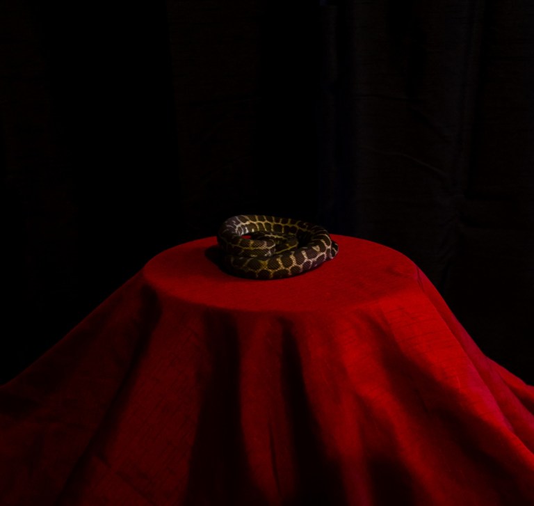 chloebartram_006-1600x1516