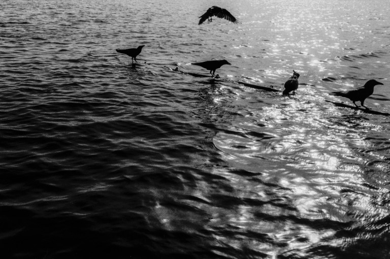 #22 medium- Gelatin silver print date created- 1980 — date printed- 2004 dimensions- height 224mm x width 333mm