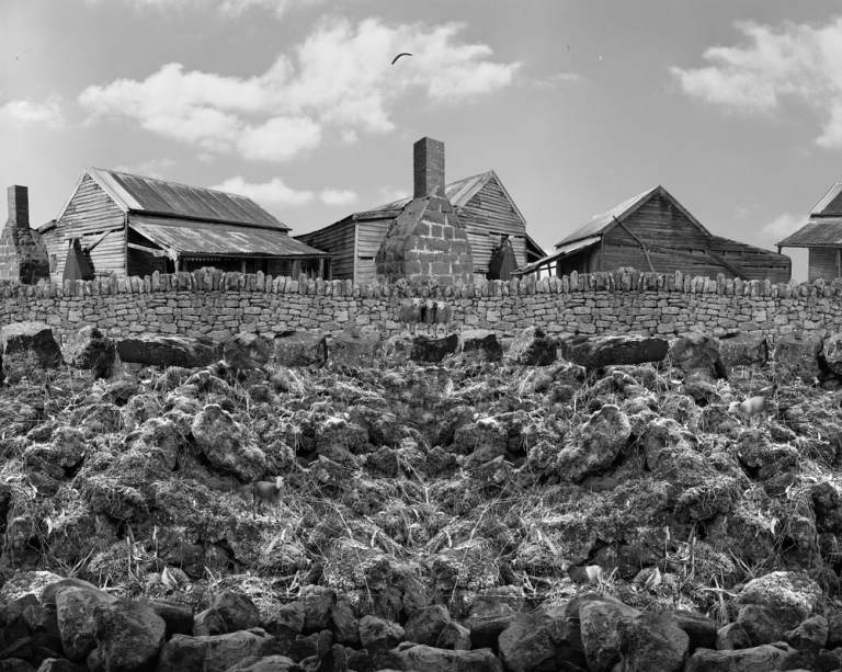 Untitled (The theft of the White men's sheep), 2018, 80 x 100 cm, inkjet on cotton rag. Edition of 5 (+2 AP)