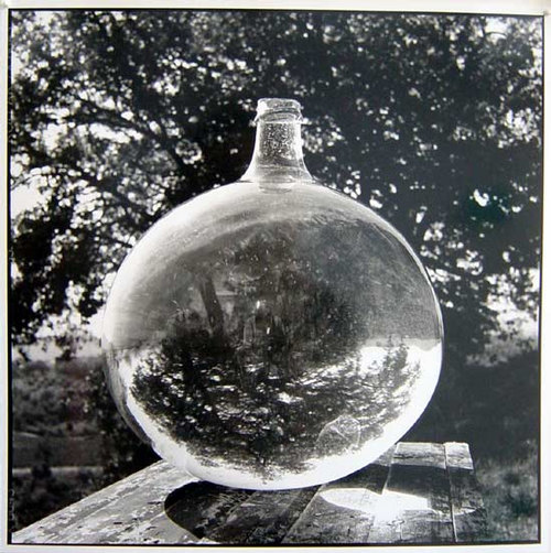 Bill Culbert Wine Bonbonne with Oak Tree, France, 2002 silver gelatin prints 40.5 × 40.5cm Edition of 25