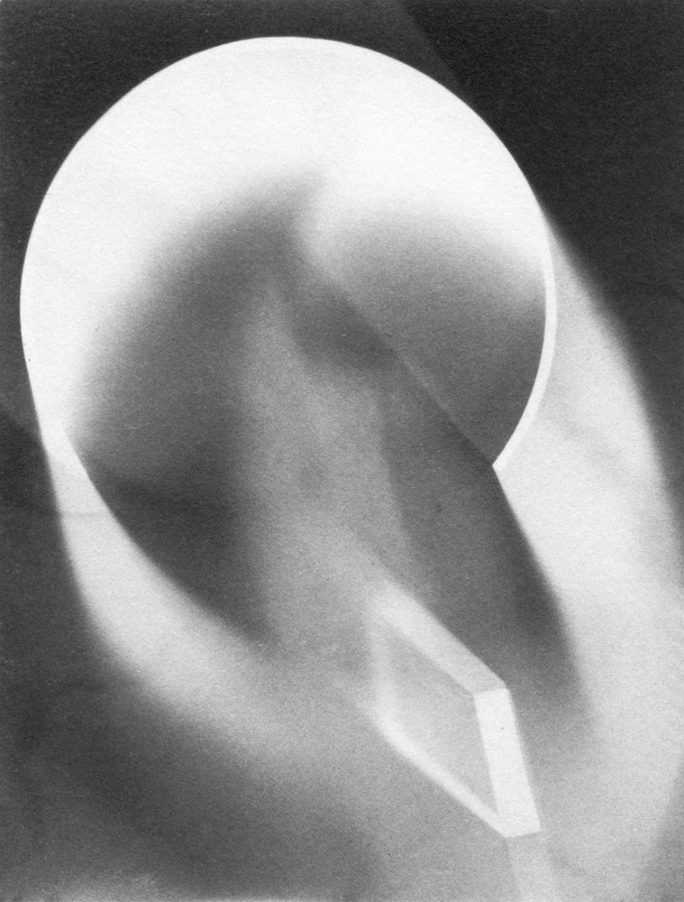 Photogram, 1937-39 Gelatin Silverprint 4 5:8 x 3 7:16 in Location- Unknown