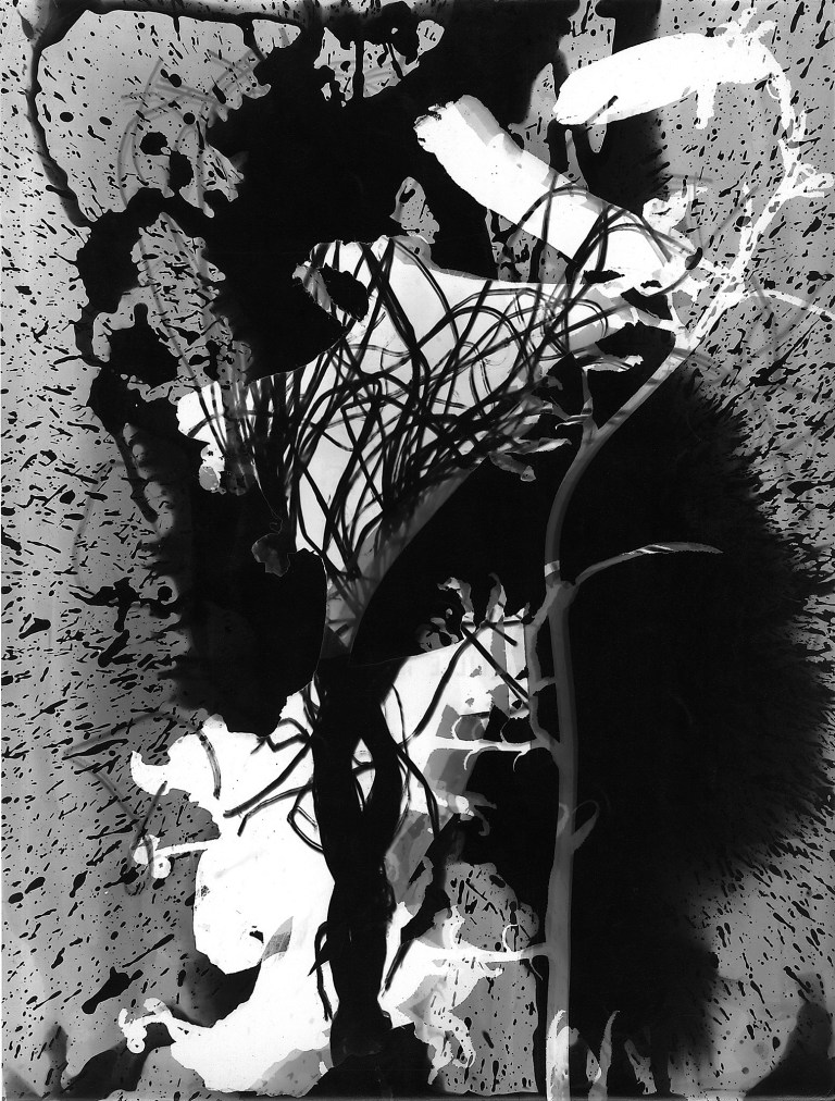 Roger Catherineau, Photogramme , 1957 Vintage gelatin silver print, 15 3:4 x 11 7:8 in. (40 x 30.2 cm)