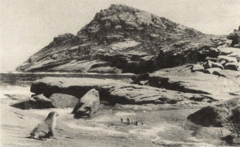 Screen Shot 2019-12-30 at 4.23.30 pm