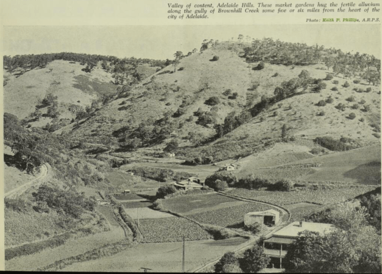 Walkabout.Vol. 25 No. 1 (1 January 1959)