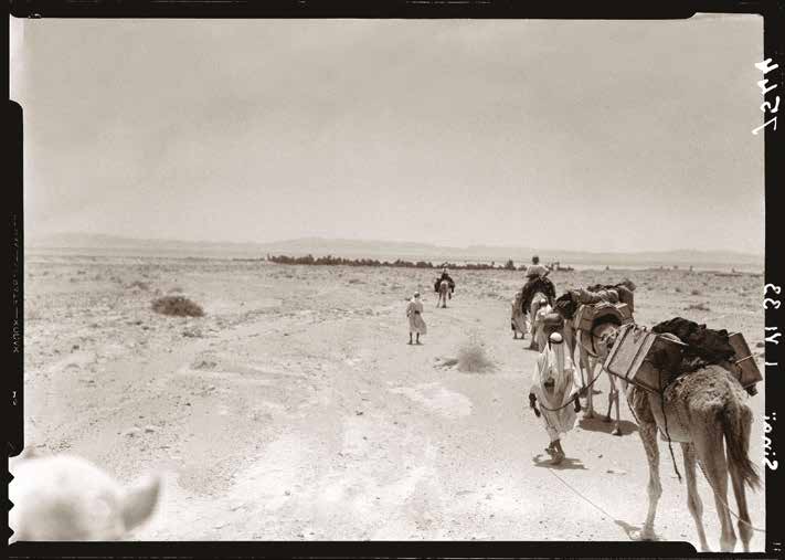 Fred Boissonnas, Sinai. Caravan in the Desert of Sand (on the coast of Aqaba, near Dahab). 01.06.1933, Roussen Collection B.cat- 7544.