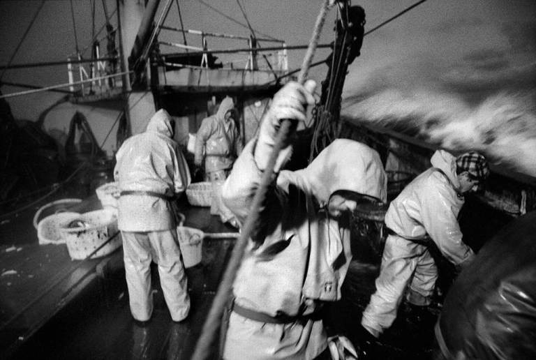 jean+gaumyexpovannesnovembre+magnum+photos