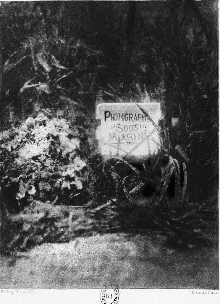 La_photographie_sous-marine Pose 1